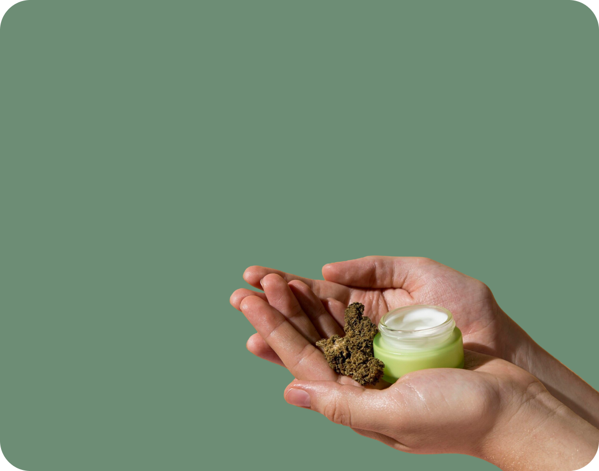 How to Choose the right Cannabis